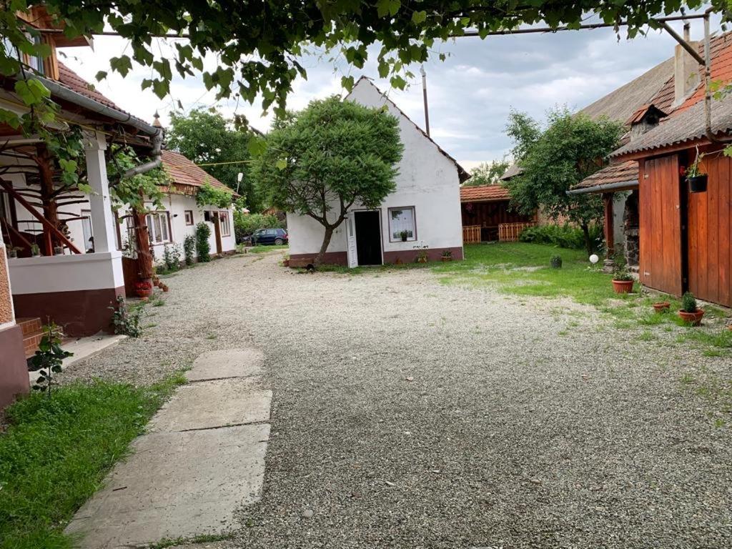 Hotel Casa Mari Cîrţişoara Esterno foto