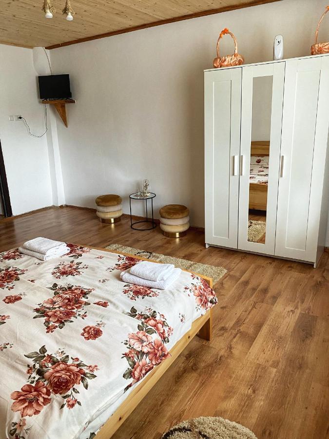 Hotel Casa Mari Cîrţişoara Esterno foto